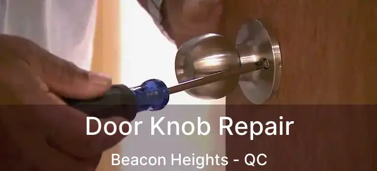  Door Knob Repair Beacon Heights - QC
