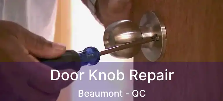  Door Knob Repair Beaumont - QC