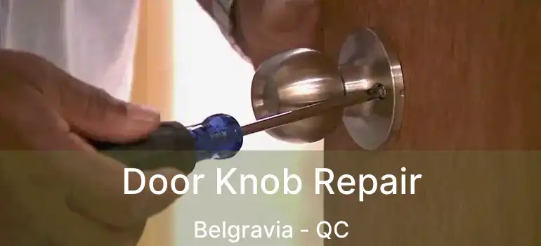  Door Knob Repair Belgravia - QC