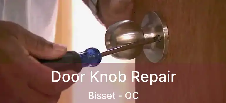  Door Knob Repair Bisset - QC