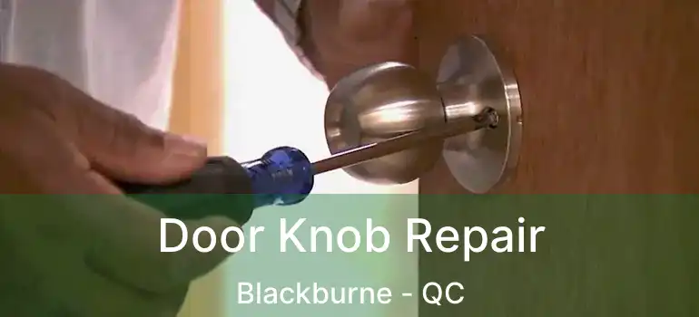  Door Knob Repair Blackburne - QC