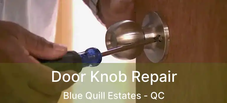  Door Knob Repair Blue Quill Estates - QC