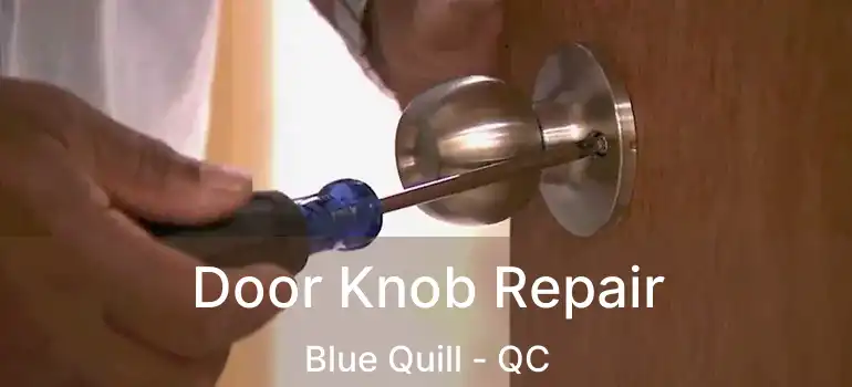  Door Knob Repair Blue Quill - QC
