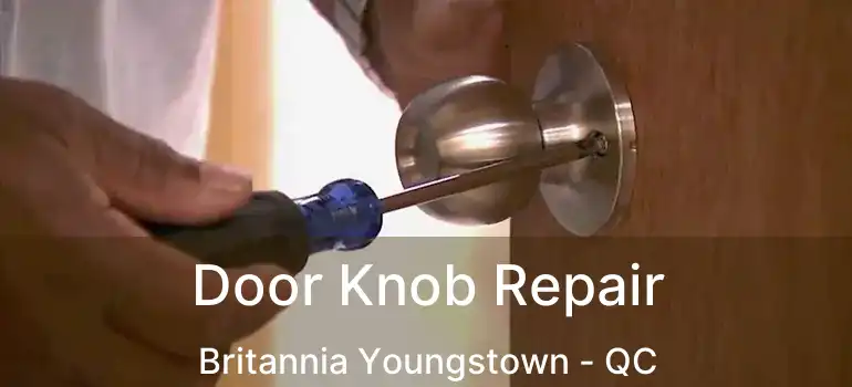  Door Knob Repair Britannia Youngstown - QC