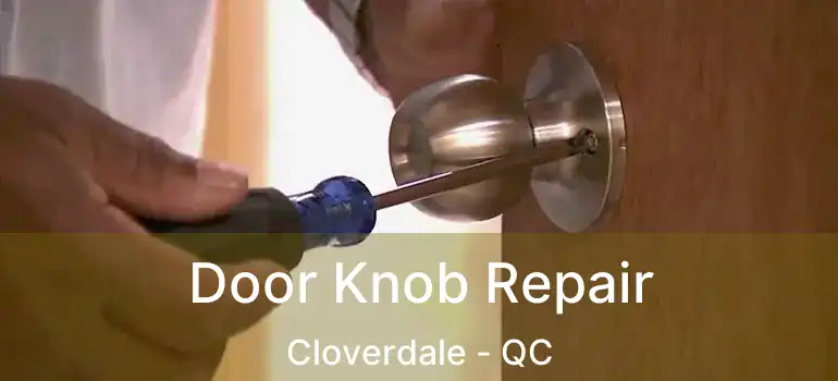  Door Knob Repair Cloverdale - QC