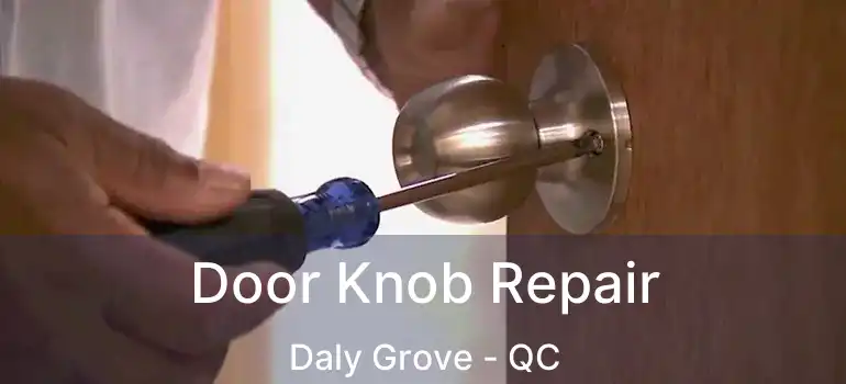 Door Knob Repair Daly Grove - QC