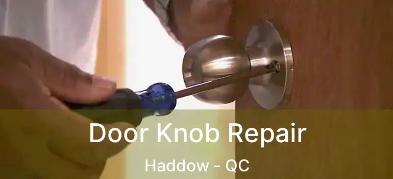  Door Knob Repair Haddow - QC