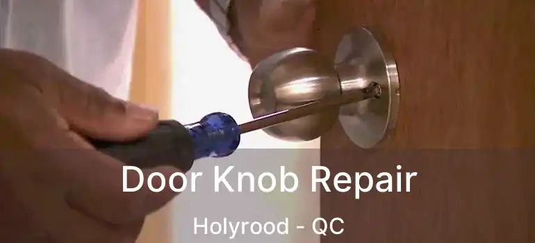  Door Knob Repair Holyrood - QC