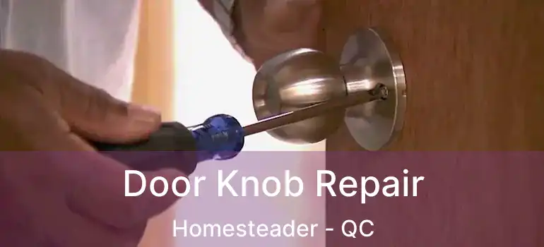  Door Knob Repair Homesteader - QC