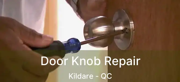  Door Knob Repair Kildare - QC