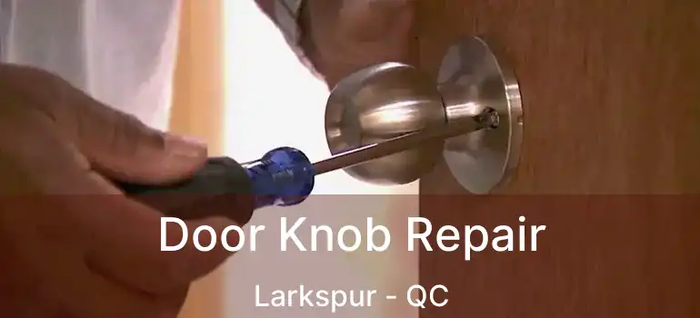  Door Knob Repair Larkspur - QC