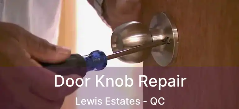  Door Knob Repair Lewis Estates - QC