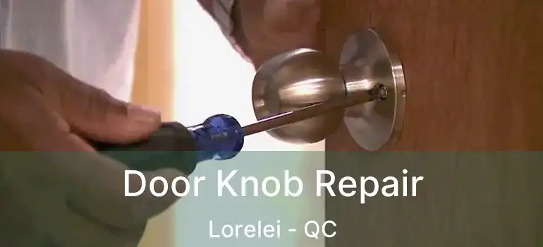  Door Knob Repair Lorelei - QC