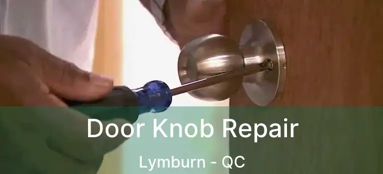  Door Knob Repair Lymburn - QC