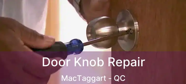  Door Knob Repair MacTaggart - QC