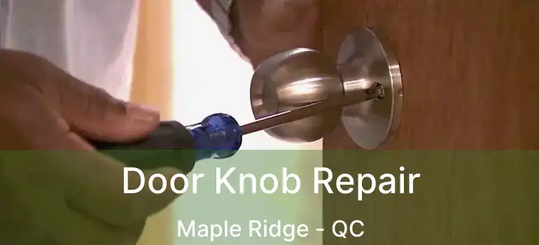  Door Knob Repair Maple Ridge - QC