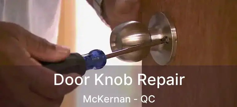  Door Knob Repair McKernan - QC