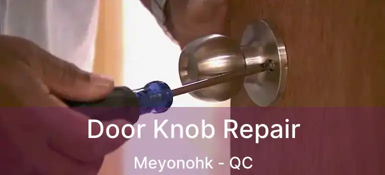  Door Knob Repair Meyonohk - QC