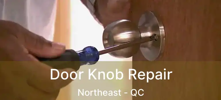  Door Knob Repair Northeast - QC