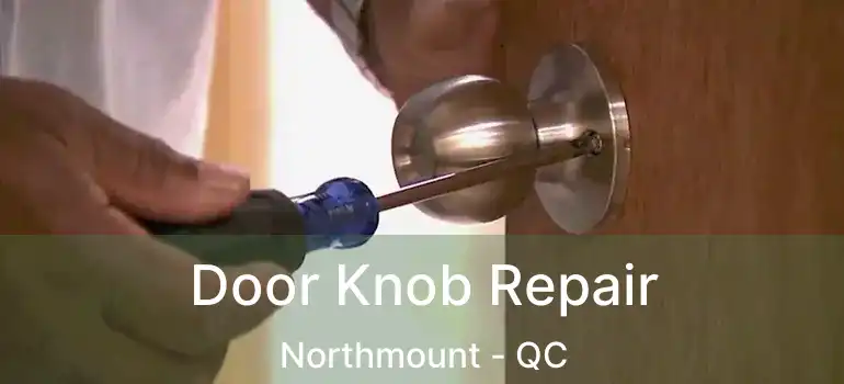  Door Knob Repair Northmount - QC