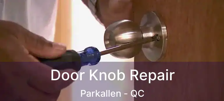  Door Knob Repair Parkallen - QC