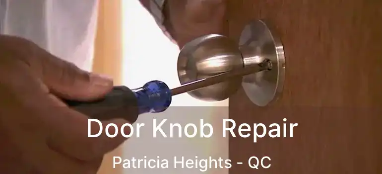  Door Knob Repair Patricia Heights - QC