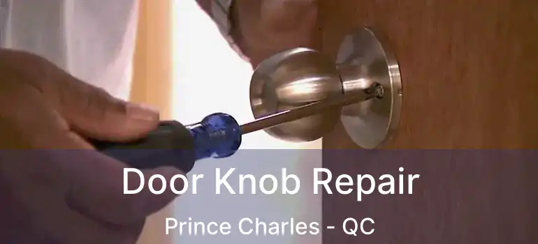  Door Knob Repair Prince Charles - QC