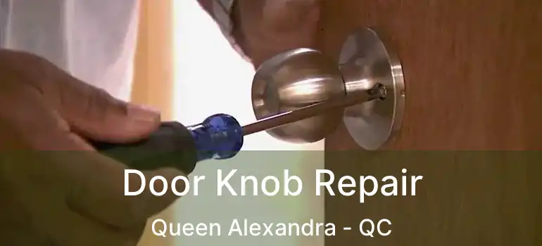  Door Knob Repair Queen Alexandra - QC