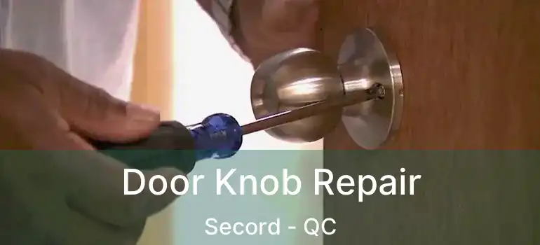  Door Knob Repair Secord - QC