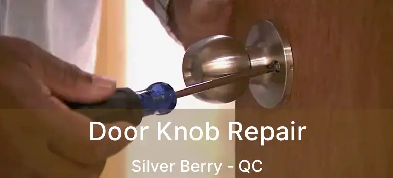  Door Knob Repair Silver Berry - QC