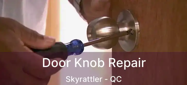  Door Knob Repair Skyrattler - QC