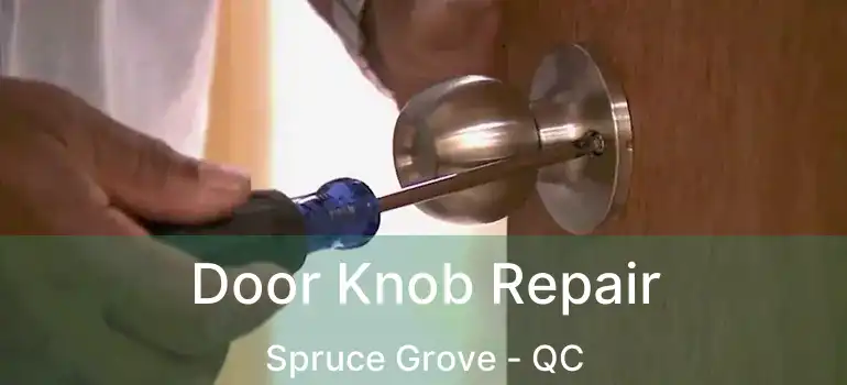  Door Knob Repair Spruce Grove - QC