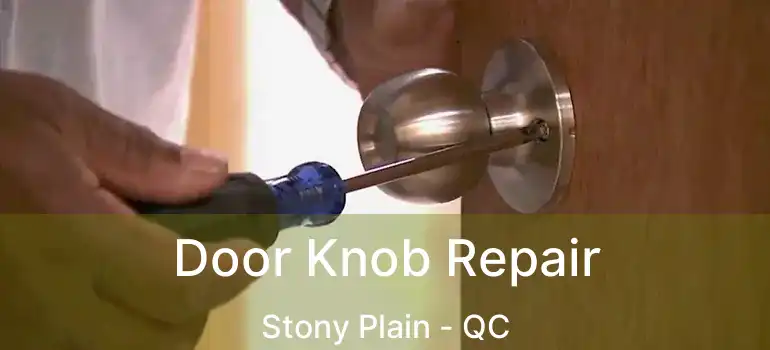  Door Knob Repair Stony Plain - QC