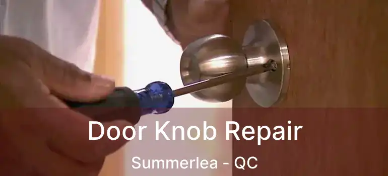  Door Knob Repair Summerlea - QC