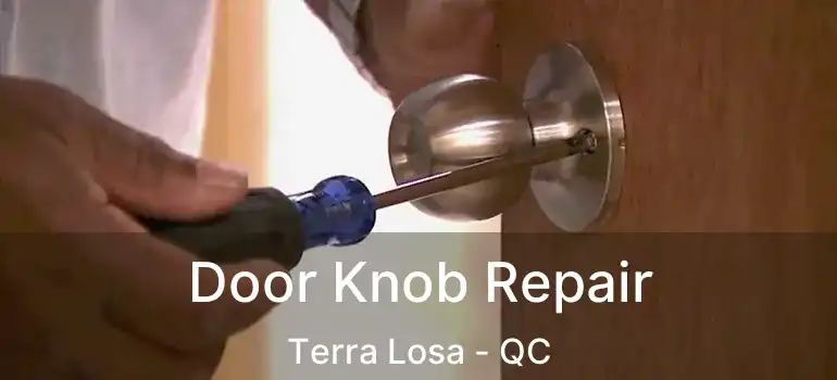  Door Knob Repair Terra Losa - QC