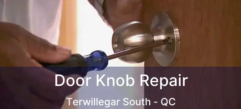  Door Knob Repair Terwillegar South - QC