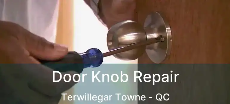  Door Knob Repair Terwillegar Towne - QC