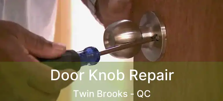  Door Knob Repair Twin Brooks - QC