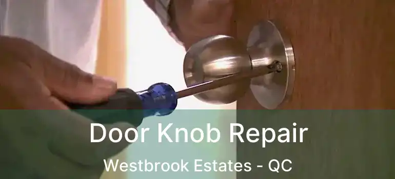  Door Knob Repair Westbrook Estates - QC