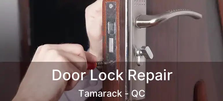  Door Lock Repair Tamarack - QC