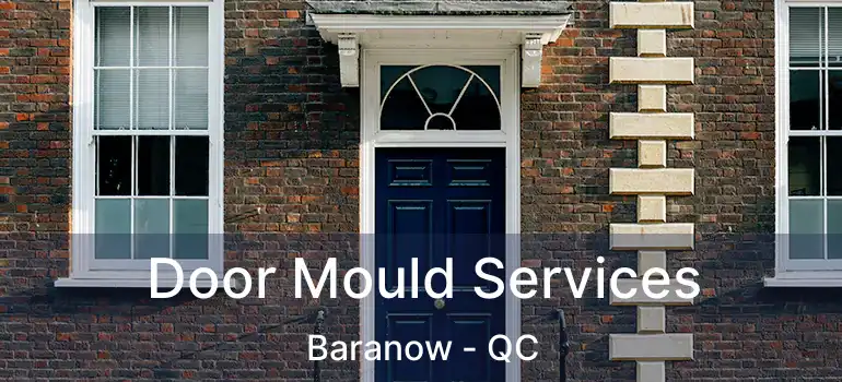  Door Mould Services Baranow - QC