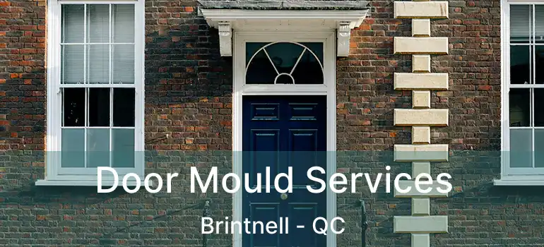  Door Mould Services Brintnell - QC