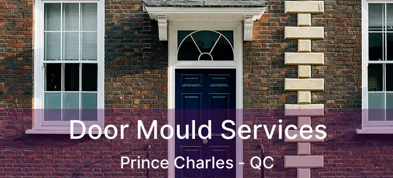  Door Mould Services Prince Charles - QC