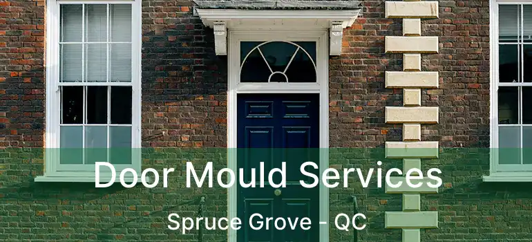  Door Mould Services Spruce Grove - QC