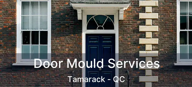  Door Mould Services Tamarack - QC