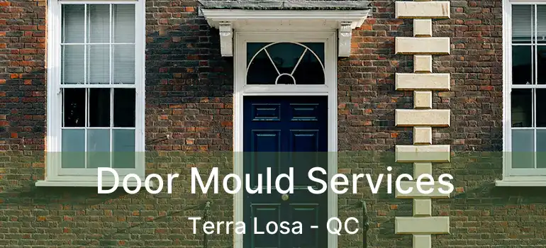  Door Mould Services Terra Losa - QC