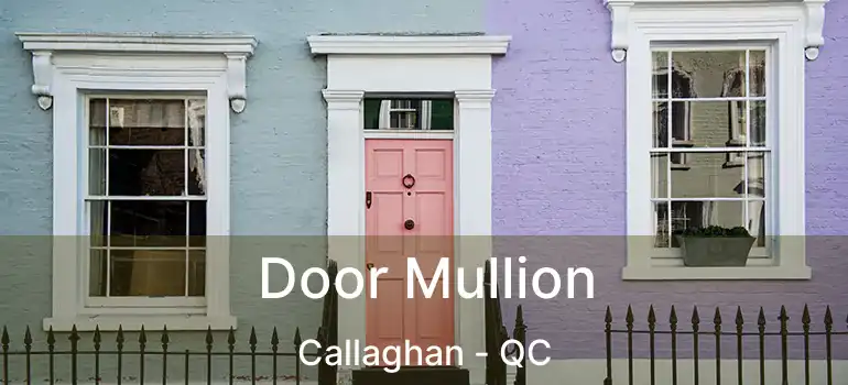  Door Mullion Callaghan - QC