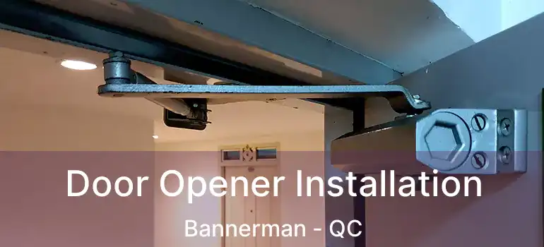  Door Opener Installation Bannerman - QC