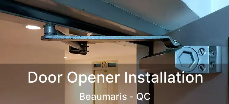  Door Opener Installation Beaumaris - QC