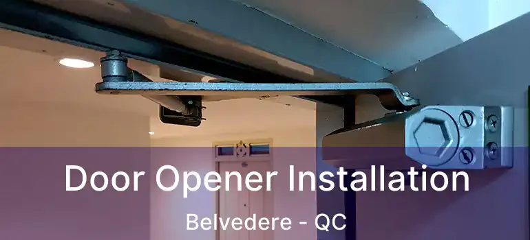  Door Opener Installation Belvedere - QC
